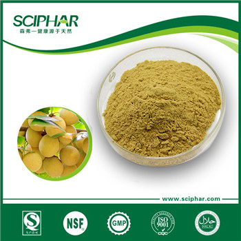 Ginkgo Biloba Extract