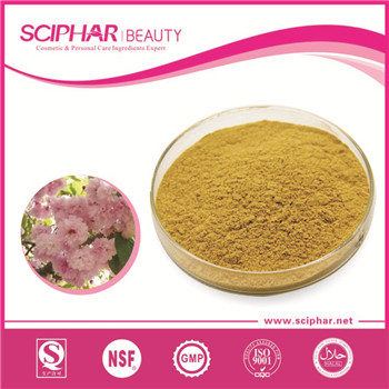 Sakura Extract Sakura Extract