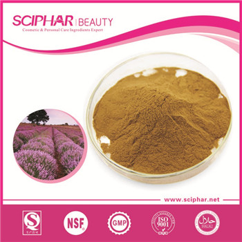 Lavender Extract Lavender Extract