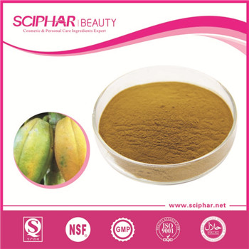 Papaya powder Papaya powder