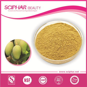 Mango powder Mango powder