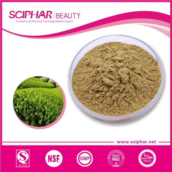 Green tea extract Green tea extract