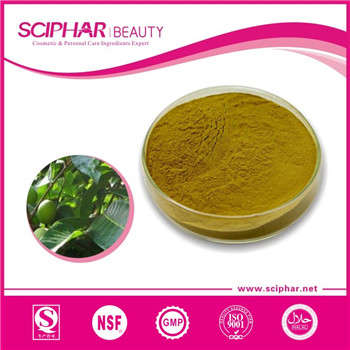 Olive extract Olive extract