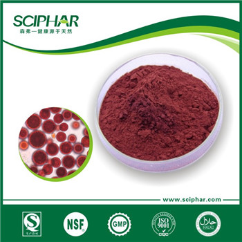 <b>Algae Haematococcus pluvialis</b> <b>Algae Haematococcus pluvialis</b>