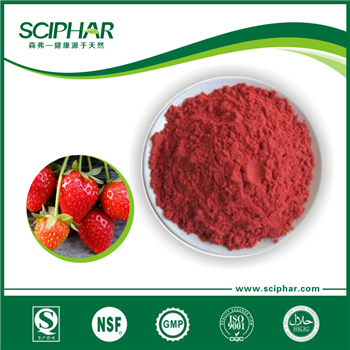 草莓營養(yǎng)莓粉 