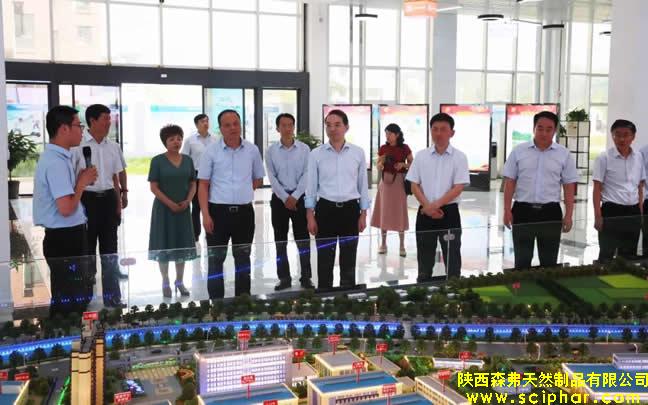 陜西省委常委、省紀(jì)委書(shū)記王興寧蒞臨森弗健康養(yǎng)生產(chǎn)業(yè)園調(diào)研企業(yè)發(fā)展情況